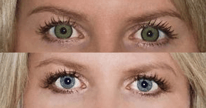 Glamour Green - Värillisetpiilolinssit.fi